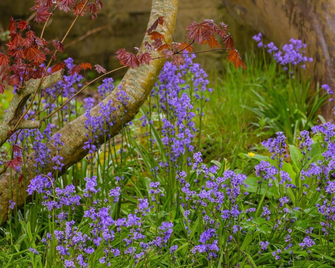 Bed and Breakfast Sennen House Warrenpoint Exteriér fotografie